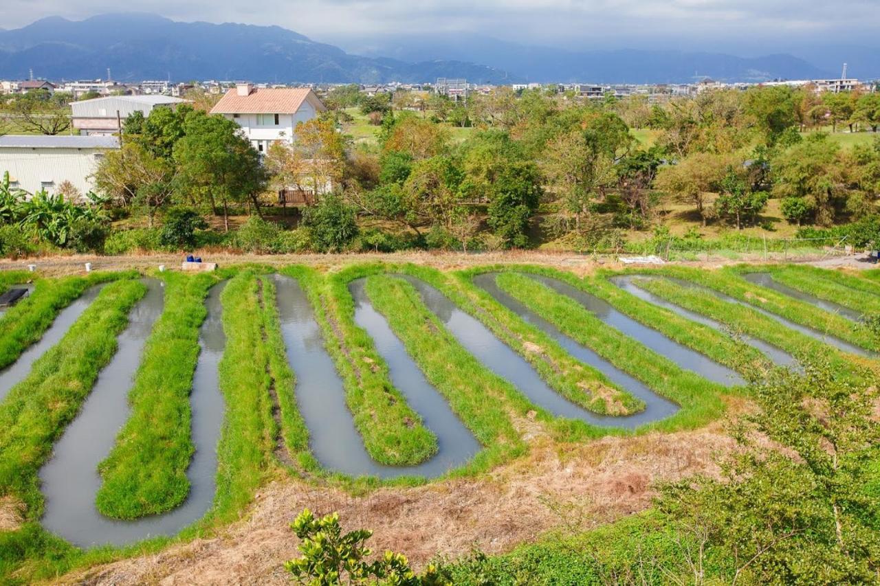 Fish House 宜蘭獨棟別墅 戲水池 生態diy 安農溪自行車 Dongshan (Yilan) Exterior foto